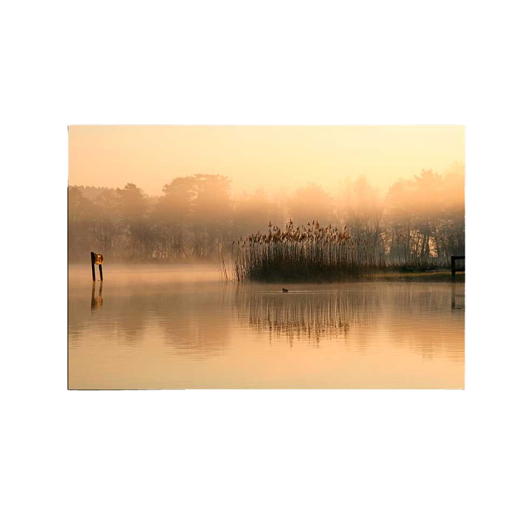 Infrarood verwarmingspaneel met print 300 Watt | 60x60cm
