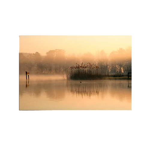 Smart Slimline Print 780 x 1400 x 15mm 900 Watt  | Smartir.nl